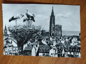 Postcard Church Strasbourg