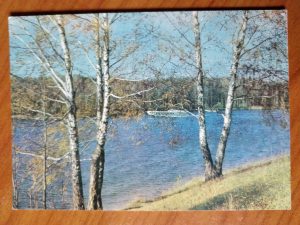 Postcard Russia Trees
