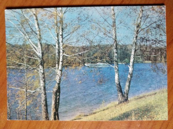 Postcard Russia Trees