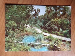 Postcard Georgenfelder Hochmoor