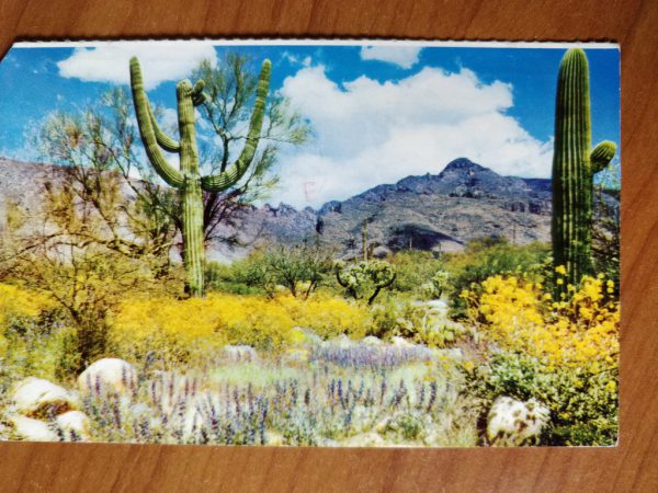 Postcard Valley of the Sun