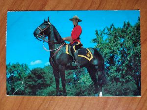Postcard Royal Mounted Police Canada