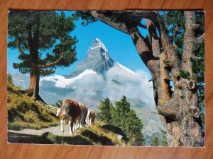Postcard Zermatt Matterhorn