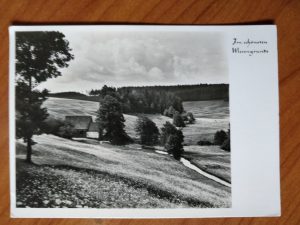 Postcard Wiesengrunde