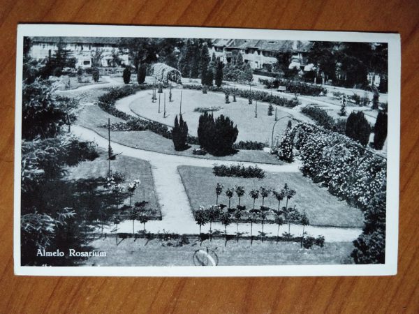Postcard Almelo Rosarium