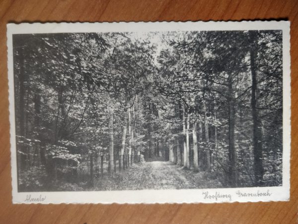 Postcard Almelo Hoofdweg Granenbosch