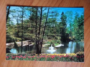 Postcard Bad Nauheim Park