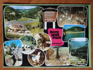 Postcard Wildpark Steinwasen Zoo