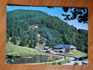 Postcard Park Steinwasen