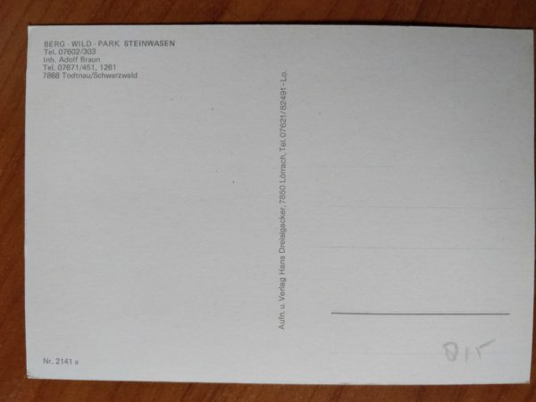 Postcard Park Steinwasen - Image 2