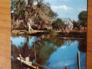 Postcard Along the Bayou
