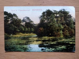 Postcard Hilversum Vijver Spaanderswoud