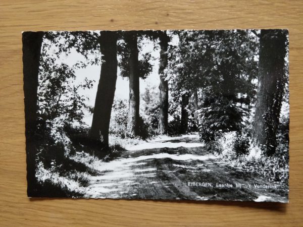 Postcard Eibergen Laantje bij Vunderink