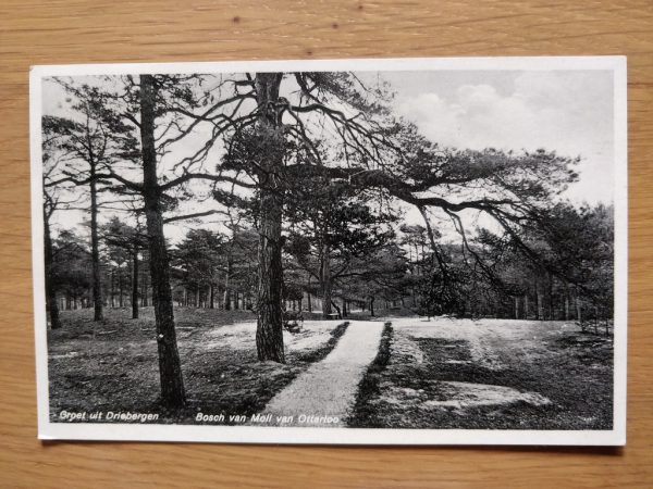 Postcard Groet uit Driebergen