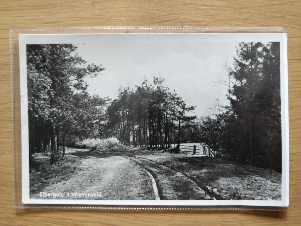 Postcard Eibergen Wievenveld