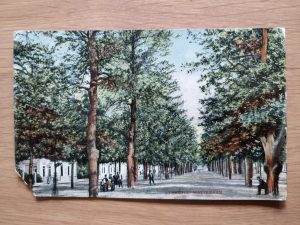 Postcard Utrecht maliebaan
