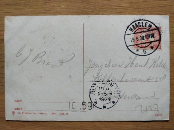 Postcard Haarlem Wilhelminapark - Image 2