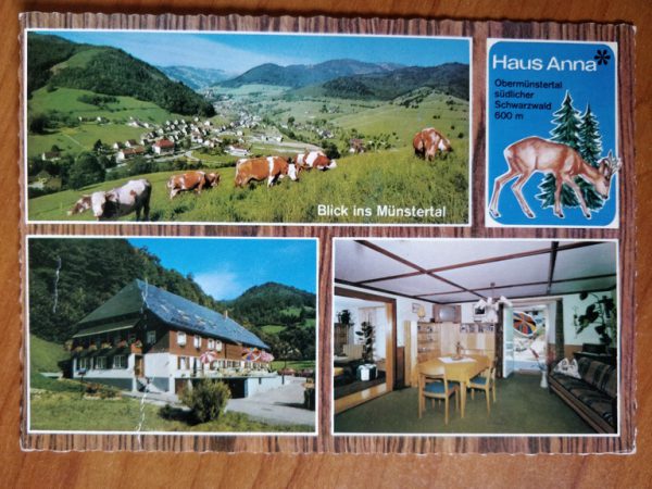 Postcard Blick ins Munstertal