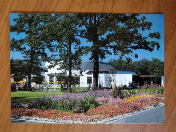 Postcard Bad Fussing
