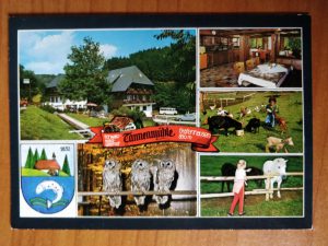 Postcard Schwarzwaldgasthof Tannenmuhle Grafenhausen
