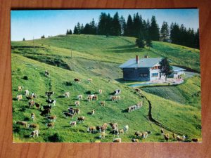 Postcard Almhutte Bernau