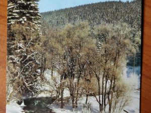 Postcard DDR Snow photo Reichenbach