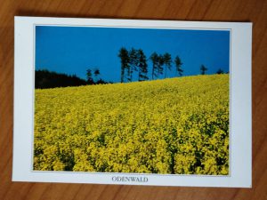 Postcard Odenwald