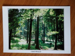 Postcard Odenwald