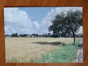 Postcard Fischbach