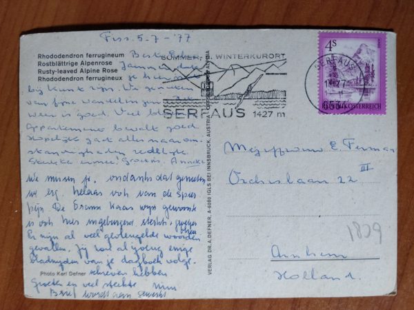 Postcard Alpenrose - Image 2