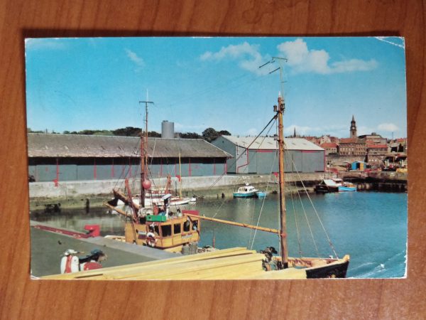 Postcard Tweedmouth Harbour
