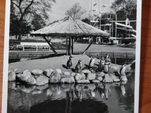 Postcard Zoo Hamburg