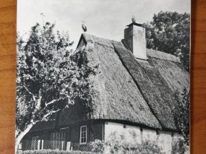 Postcard Sommertag in Holstein