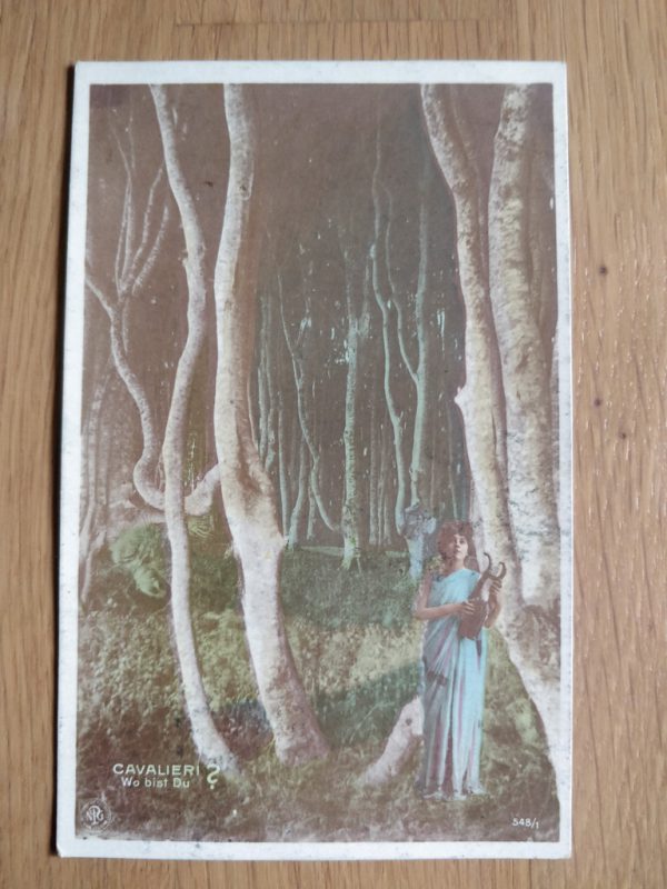 Postcard Cavalieri Wo bist du