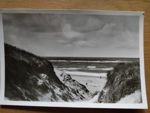 Postcard Insel Sylt