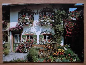 Postcard Flowers Bad Aibling