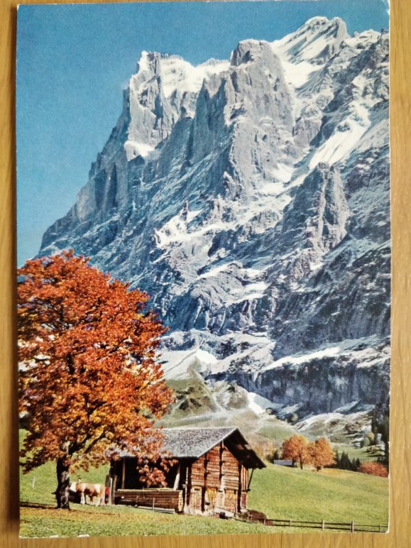 Postcard Wetterhorn Berner Oberland