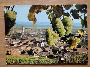 Postcard Ihringen am Kaiserstuhl