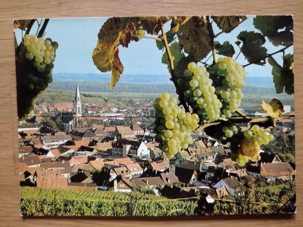 Postcard Ihringen am Kaiserstuhl