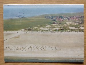 Postcard Nordsee Insel Amrum Norddorf