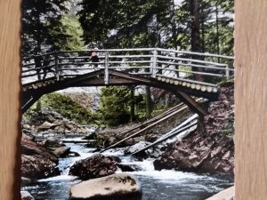 Postcard Okertal Harz Brucke zur Insel