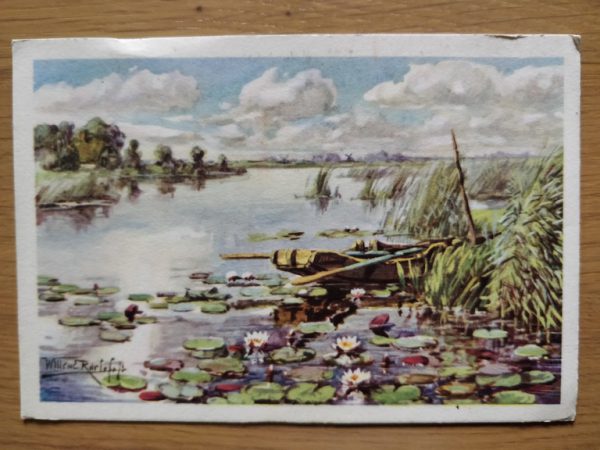 Postcard Voor het Kind Willem Roelofs