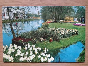 Postcard Keukenhof Lisse