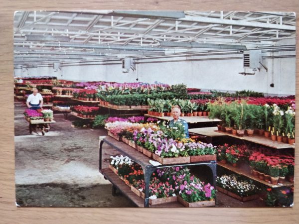 Postcard Aalsmeer Bloemenveiling Centrale 1