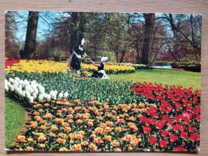 Postcard Holland in Bloementoon