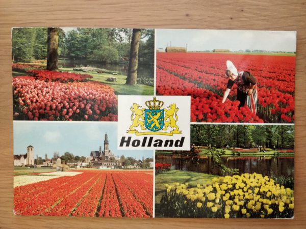 Postcard Holland Flowers