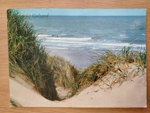 Postcard Duinen Strand Cadzand