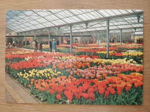 Postcard Keukenhof Lisse Holland
