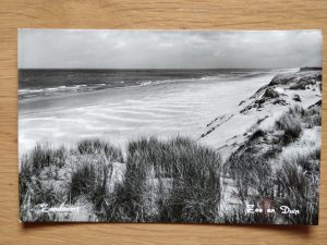 Postcard Zandvoort Zee en Duin