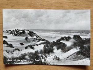 Postcard Duinen Texel